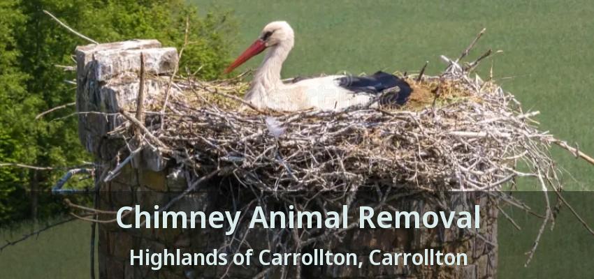 Chimney Animal Removal Highlands of Carrollton, Carrollton - TX