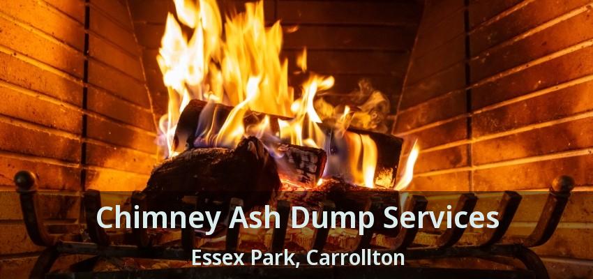 Chimney Ash Dump Services Essex Park, Carrollton - TX