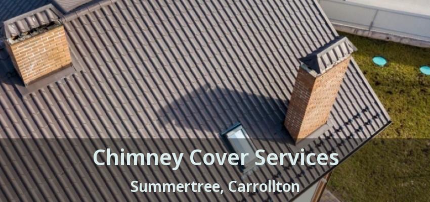 Chimney Cover Services Summertree, Carrollton - TX