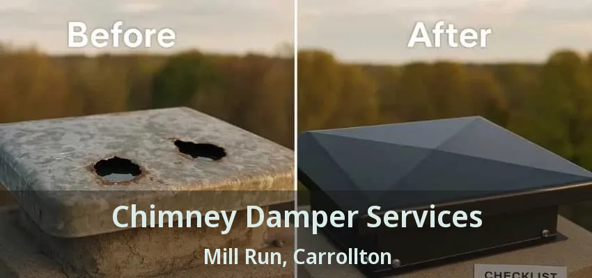 Chimney Damper Services Mill Run, Carrollton - TX