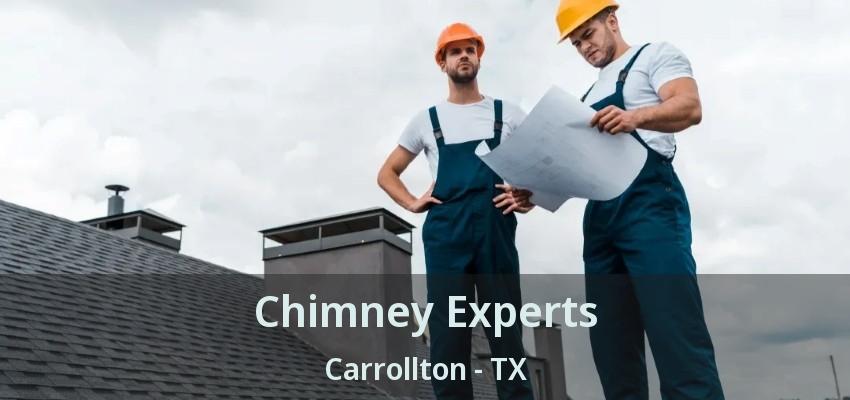 Chimney Experts Carrollton - TX
