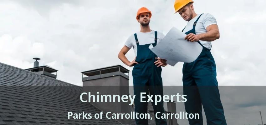 Chimney Experts Parks of Carrollton, Carrollton - TX