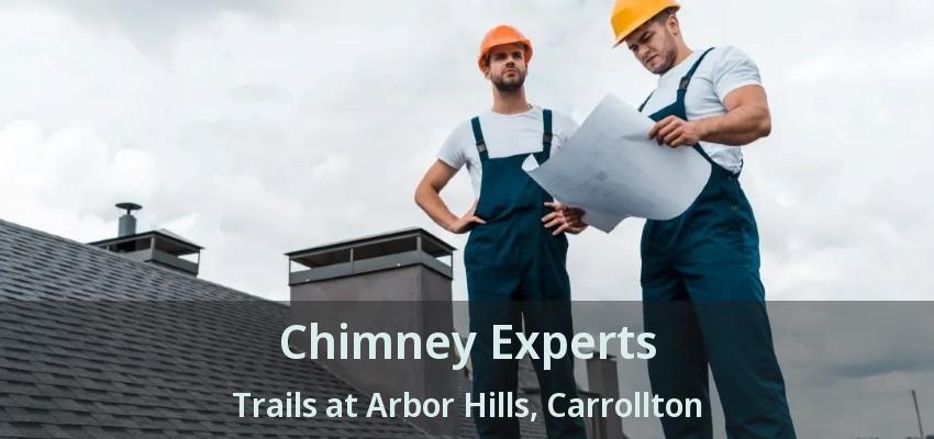 Chimney Experts Trails at Arbor Hills, Carrollton - TX