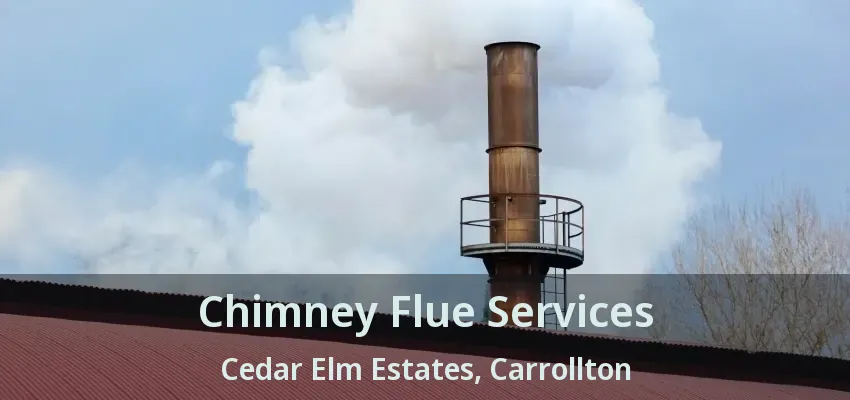 Chimney Flue Services Cedar Elm Estates, Carrollton - TX