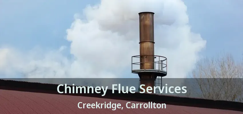 Chimney Flue Services Creekridge, Carrollton - TX