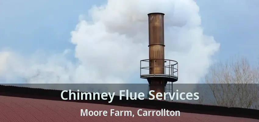 Chimney Flue Services Moore Farm, Carrollton - TX