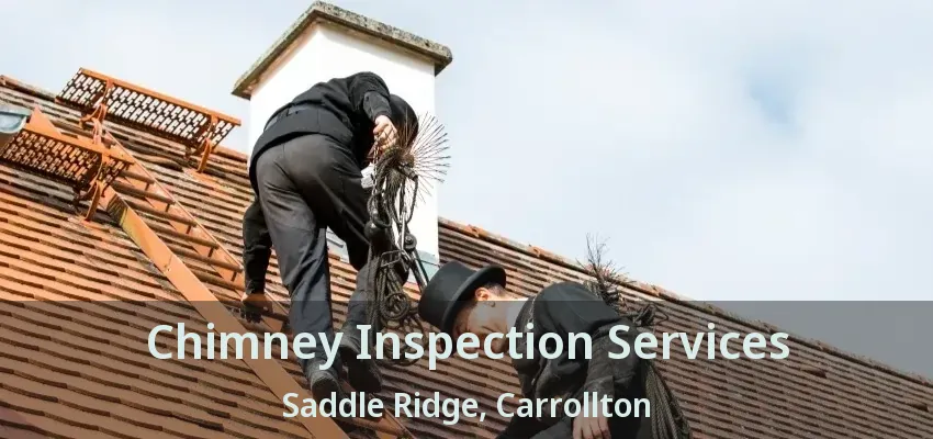 Chimney Inspection Services Saddle Ridge, Carrollton - TX