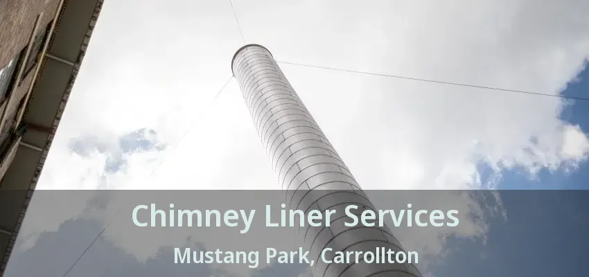 Chimney Liner Services Mustang Park, Carrollton - TX