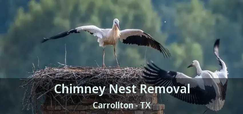 Chimney Nest Removal Carrollton - TX