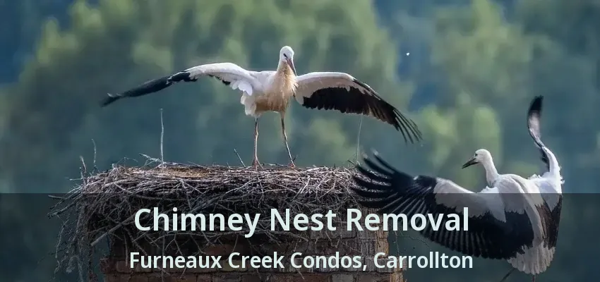 Chimney Nest Removal Furneaux Creek Condos, Carrollton - TX
