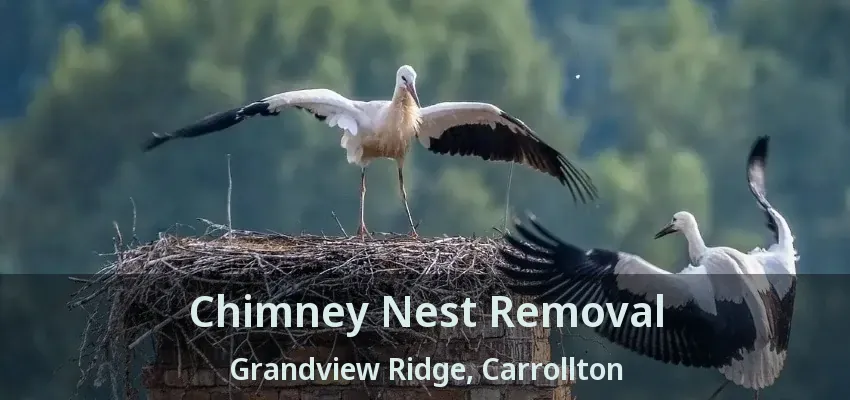 Chimney Nest Removal Grandview Ridge, Carrollton - TX