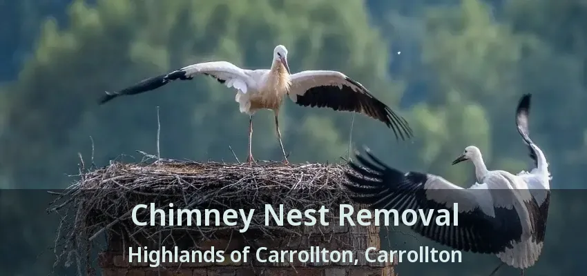 Chimney Nest Removal Highlands of Carrollton, Carrollton - TX