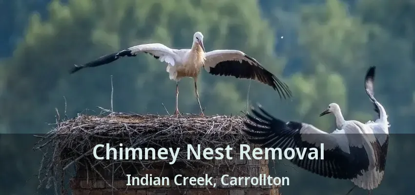 Chimney Nest Removal Indian Creek, Carrollton - TX