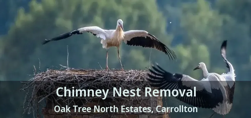 Chimney Nest Removal Oak Tree North Estates, Carrollton - TX