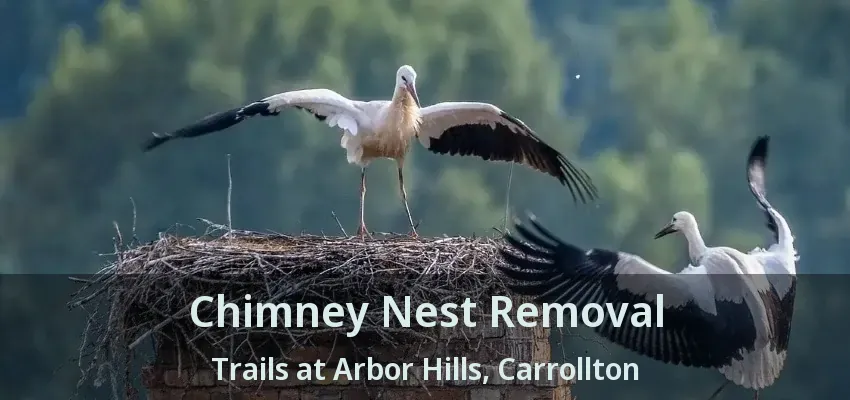 Chimney Nest Removal Trails at Arbor Hills, Carrollton - TX