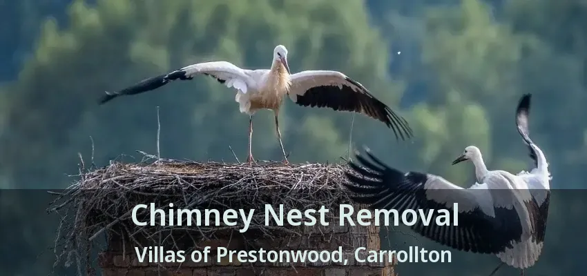 Chimney Nest Removal Villas of Prestonwood, Carrollton - TX