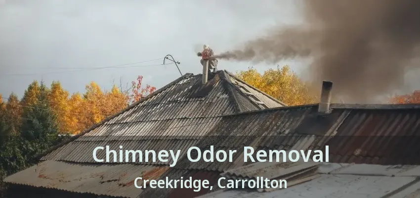 Chimney Odor Removal Creekridge, Carrollton - TX