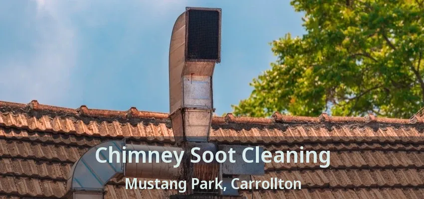 Chimney Soot Cleaning Mustang Park, Carrollton - TX
