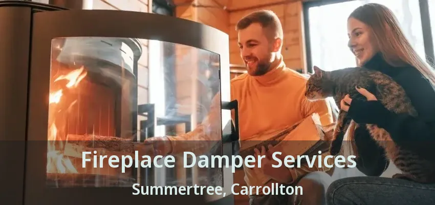 Fireplace Damper Services Summertree, Carrollton - TX
