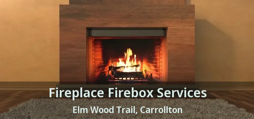 Fireplace Firebox Services Elm Wood Trail, Carrollton - TX