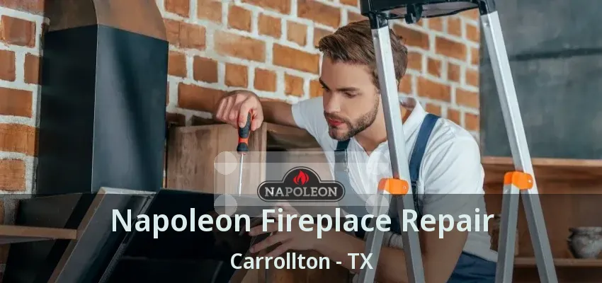 Napoleon Fireplace Repair Carrollton - TX