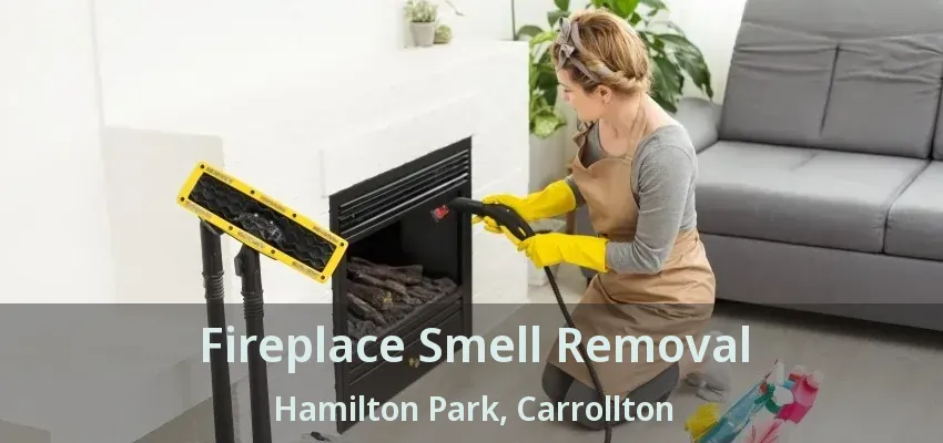 Fireplace Smell Removal Hamilton Park, Carrollton - TX