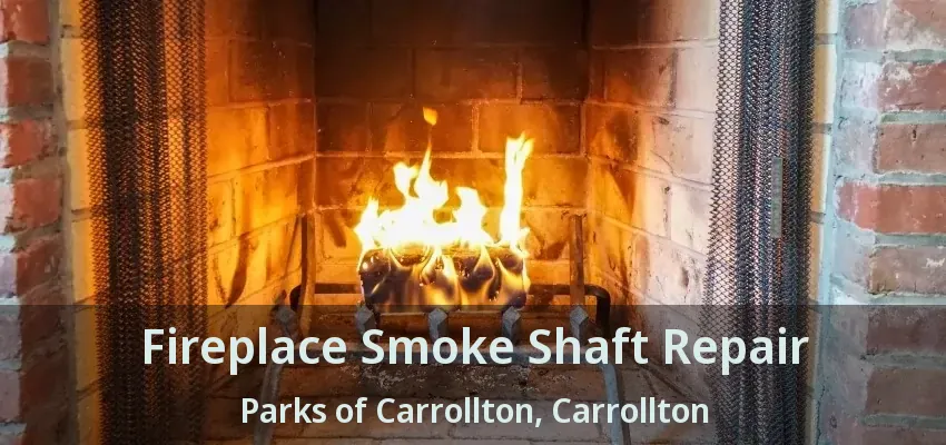 Fireplace Smoke Shaft Repair Parks of Carrollton, Carrollton - TX