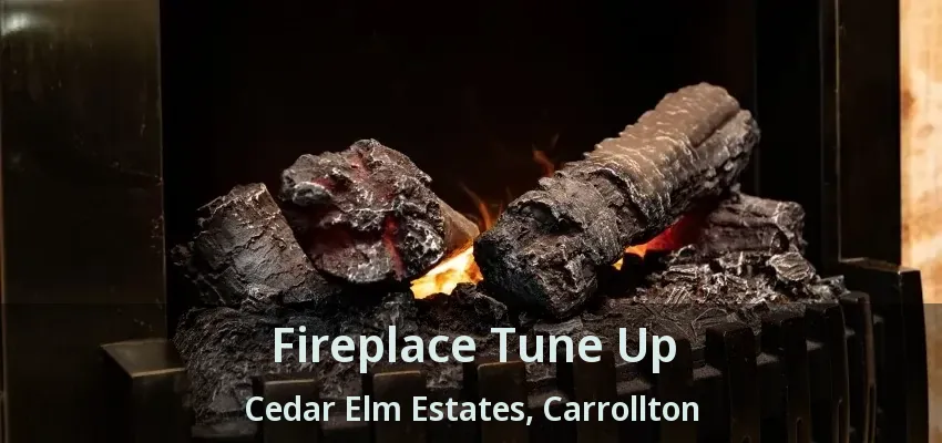 Fireplace Tune Up Cedar Elm Estates, Carrollton - TX
