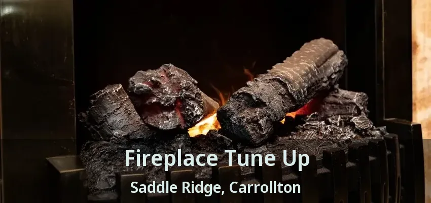 Fireplace Tune Up Saddle Ridge, Carrollton - TX