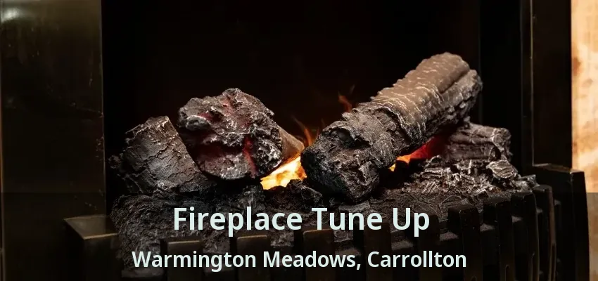 Fireplace Tune Up Warmington Meadows, Carrollton - TX