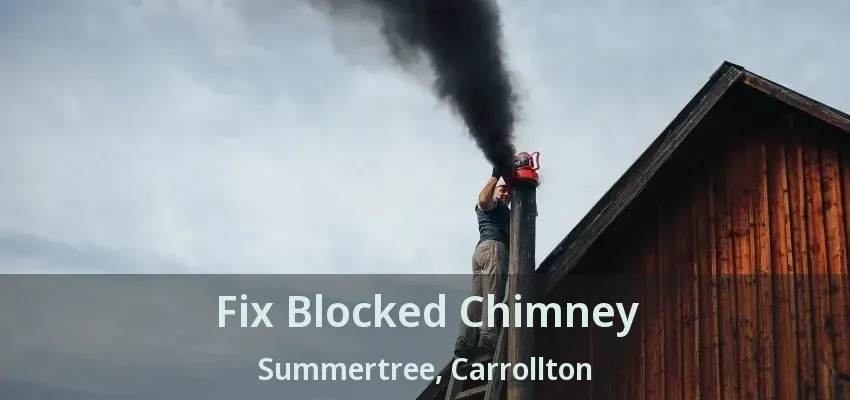 Fix Blocked Chimney Summertree, Carrollton - TX