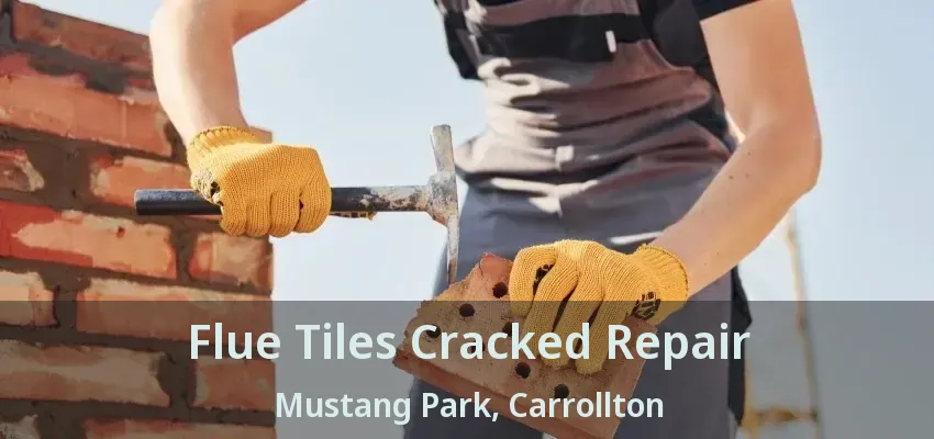 Flue Tiles Cracked Repair Mustang Park, Carrollton - TX