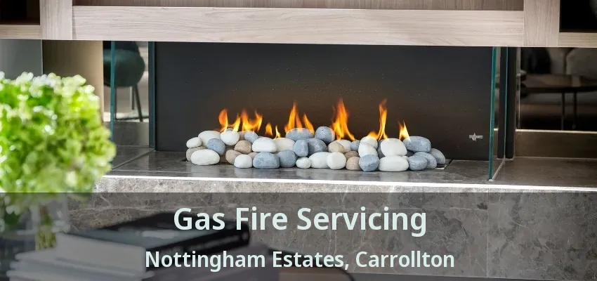 Gas Fire Servicing Nottingham Estates, Carrollton - TX