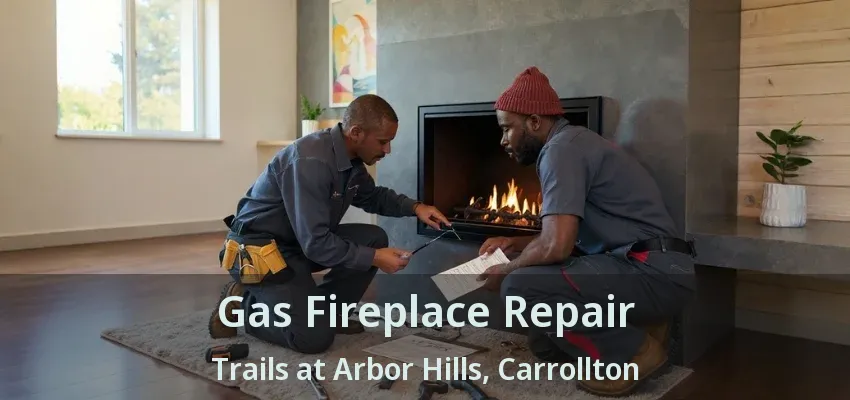 Gas Fireplace Repair Trails at Arbor Hills, Carrollton - TX