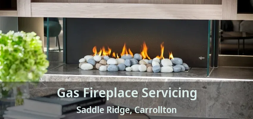 Gas Fireplace Servicing Saddle Ridge, Carrollton - TX