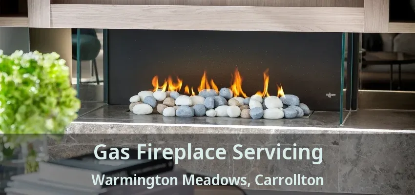 Gas Fireplace Servicing Warmington Meadows, Carrollton - TX