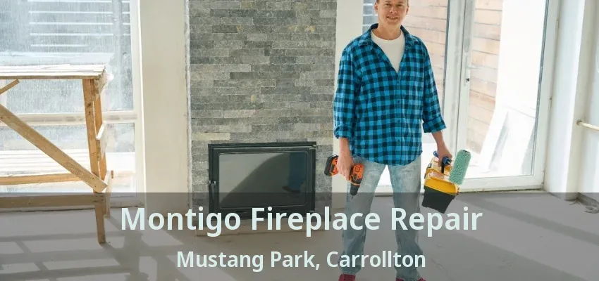 Montigo Fireplace Repair Mustang Park, Carrollton - TX