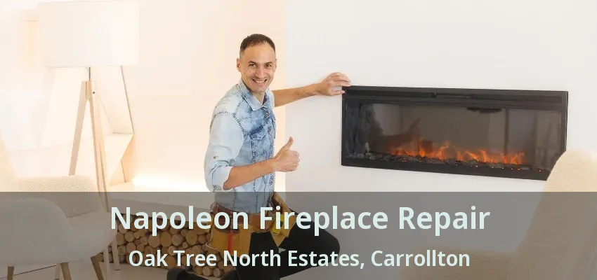 Napoleon Fireplace Repair Oak Tree North Estates, Carrollton - TX