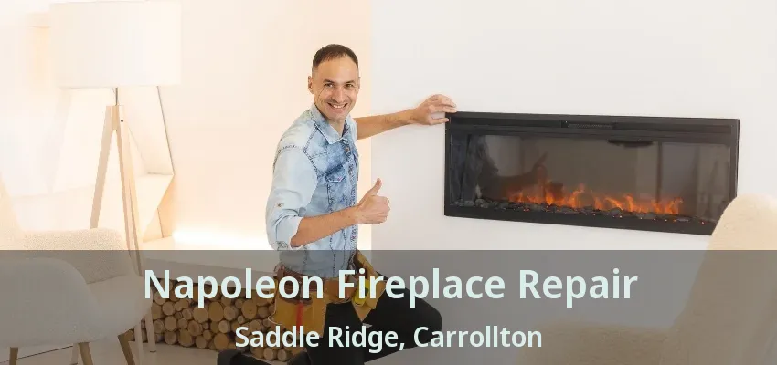 Napoleon Fireplace Repair Saddle Ridge, Carrollton - TX