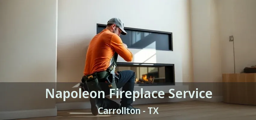 Napoleon Fireplace Service Carrollton - TX