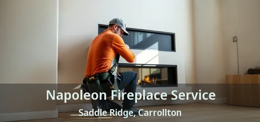 Napoleon Fireplace Service Saddle Ridge, Carrollton - TX