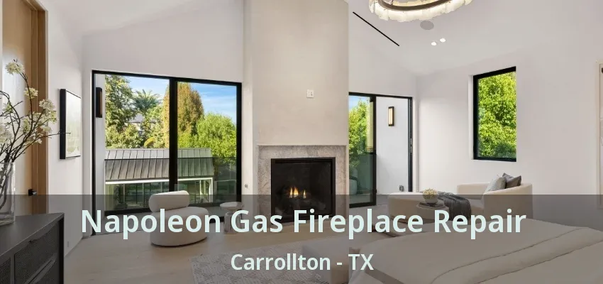 Napoleon Gas Fireplace Repair Carrollton - TX