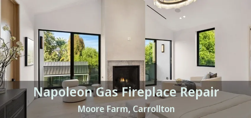 Napoleon Gas Fireplace Repair Moore Farm, Carrollton - TX