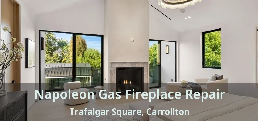 Napoleon Gas Fireplace Repair Trafalgar Square, Carrollton - TX
