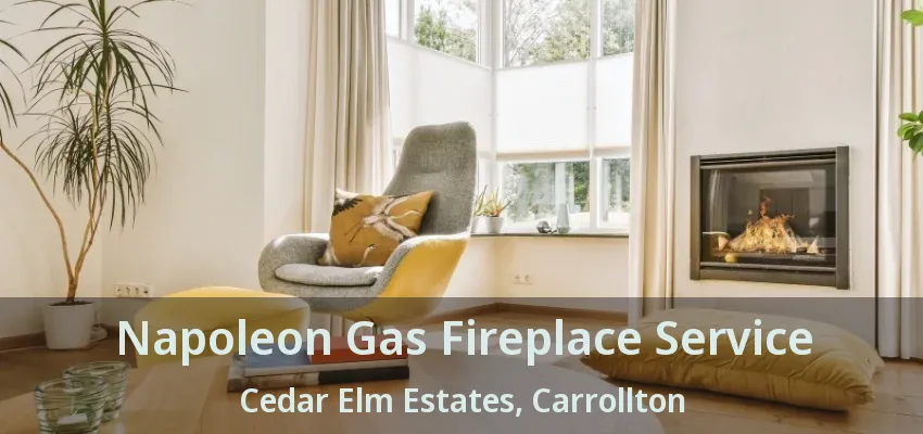 Napoleon Gas Fireplace Service Cedar Elm Estates, Carrollton - TX