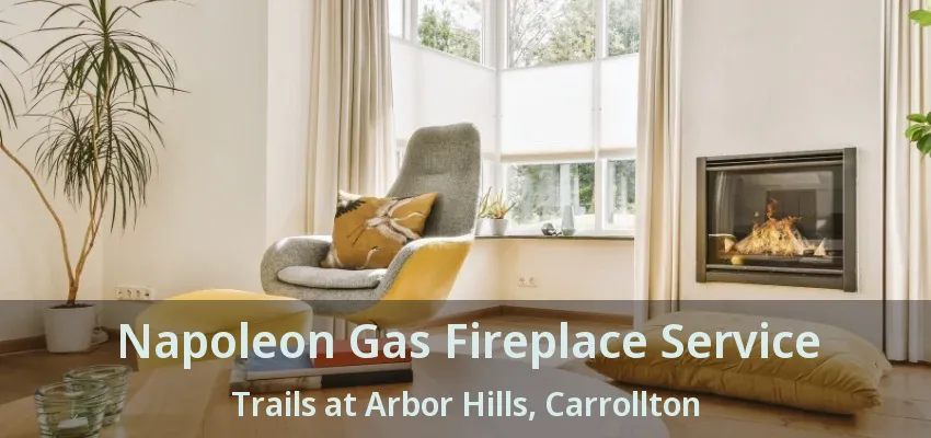 Napoleon Gas Fireplace Service Trails at Arbor Hills, Carrollton - TX