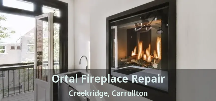Ortal Fireplace Repair Creekridge, Carrollton - TX