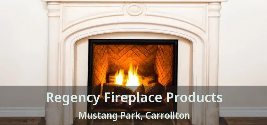 Regency Fireplace Products Mustang Park, Carrollton - TX