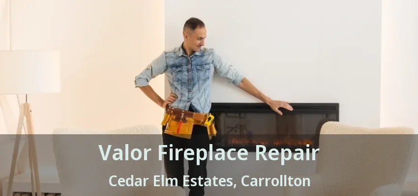 Valor Fireplace Repair Cedar Elm Estates, Carrollton - TX