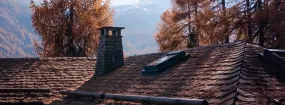 Chimney Animal Removal Carrollton
